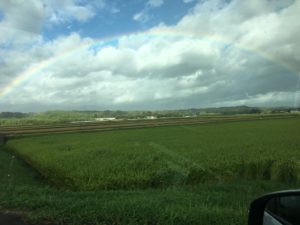 台風接近中です！！皆さん注意して下さいね(^o^)