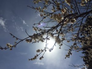 「ももくりの家」平屋ご紹介(^O^)