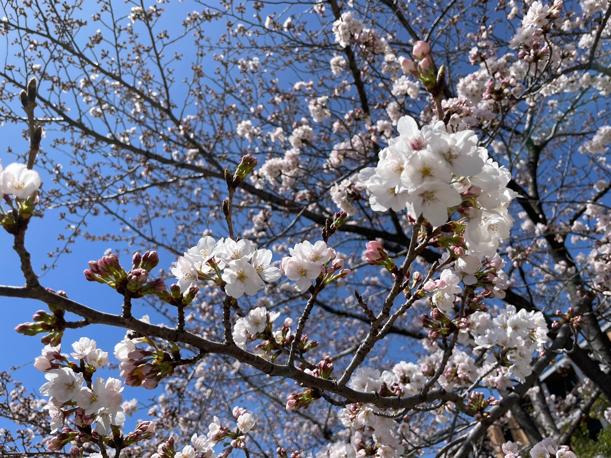 3月の帰り道♪♪