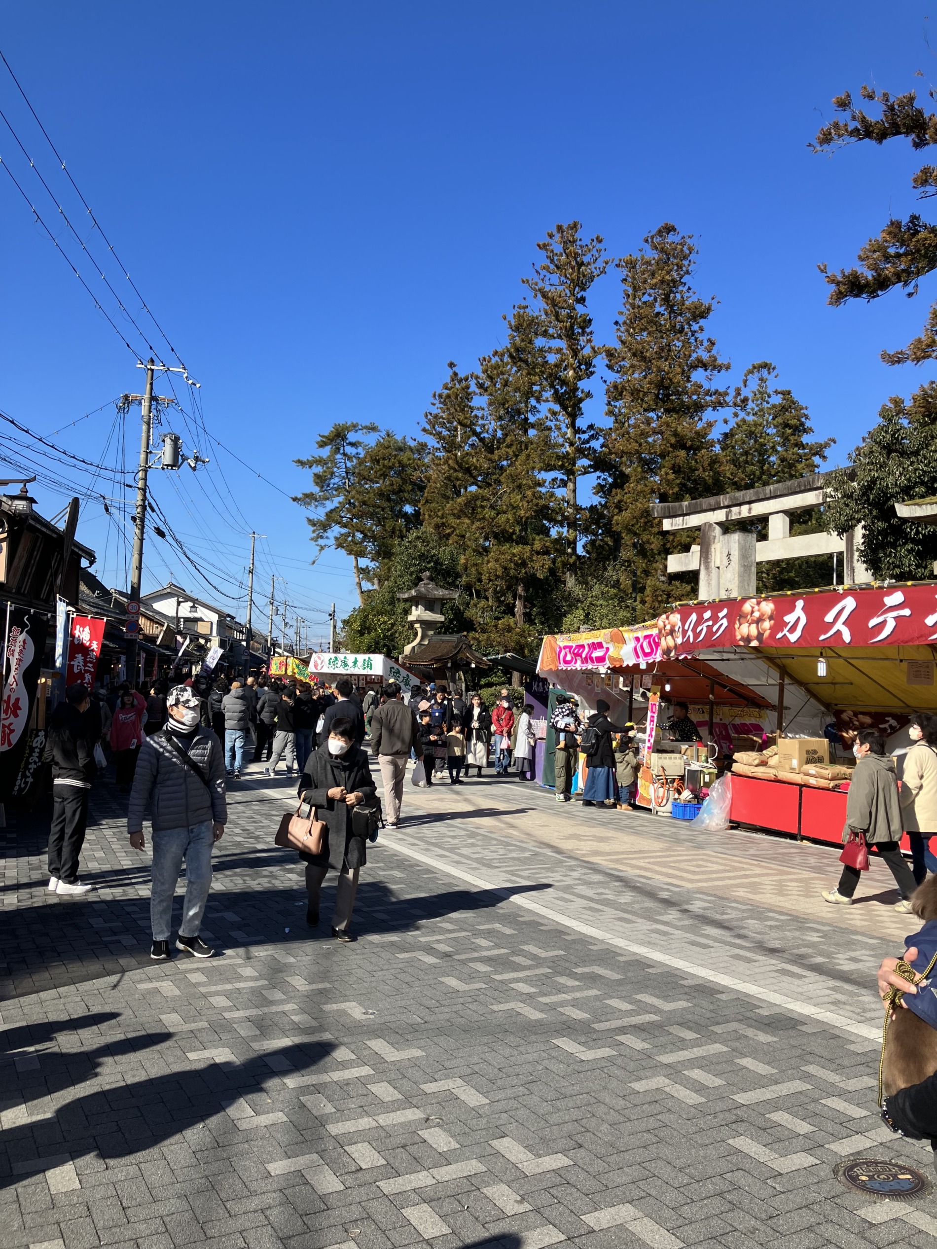 1/6  あけましておめでとうございます🎍