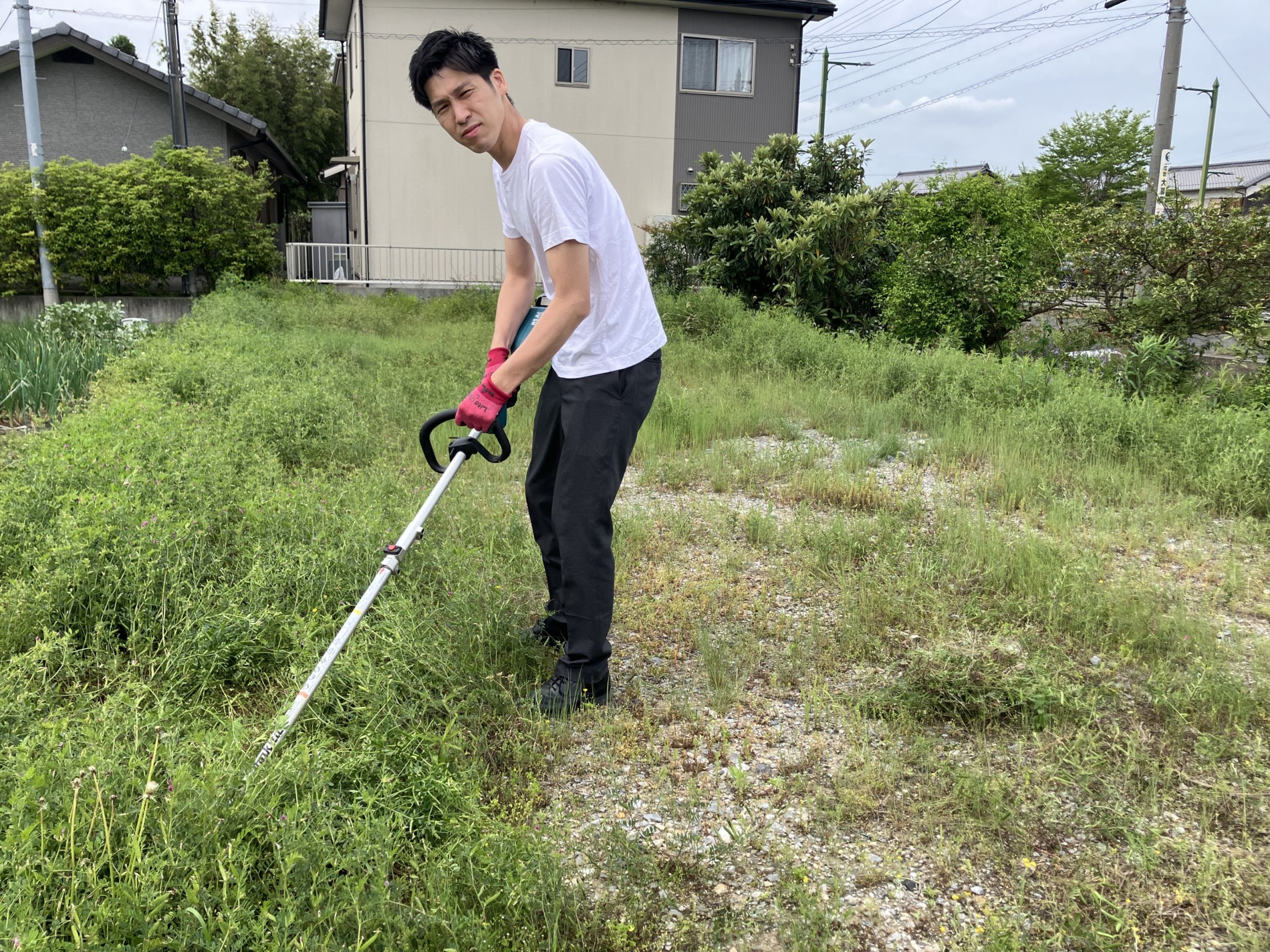 4/29　草刈り🌵🐸