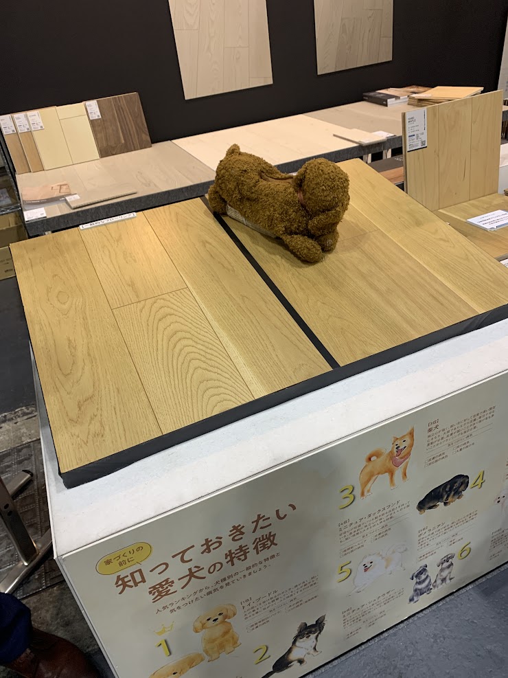 5/12 ペットにも優しいお家づくり🐶🏠